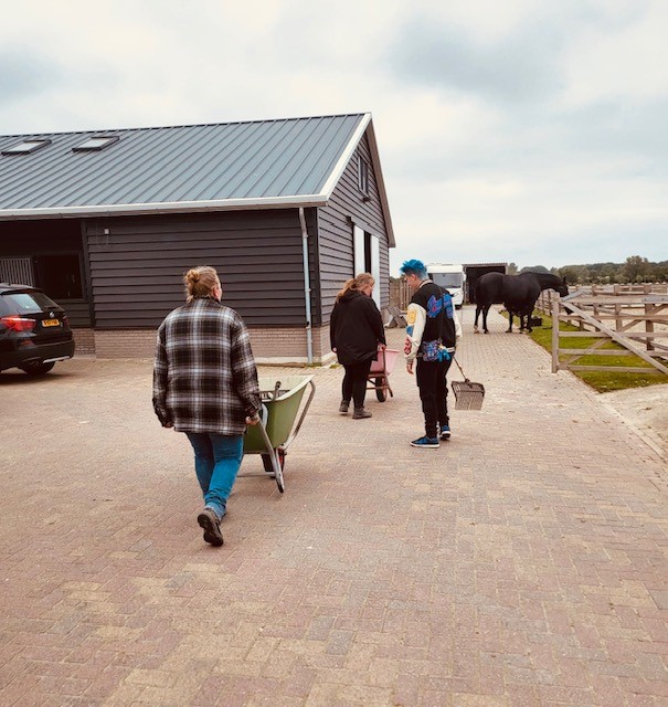 paardenpension2025
